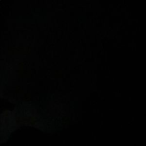 Meet your Posher, Carl